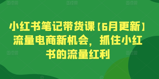 小红书笔记带货课【6月更新】流量电商新机会,抓住小红书的流量红利-互联网资源大全网