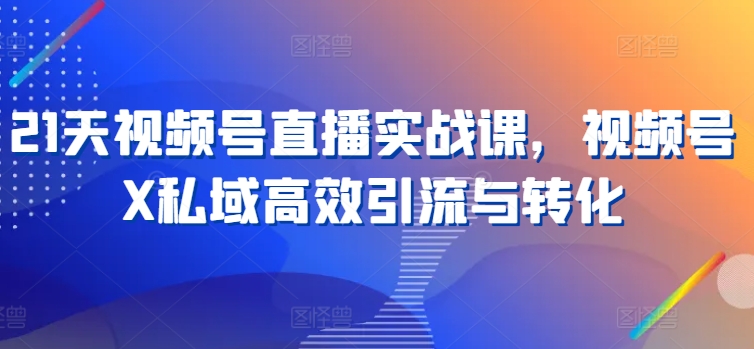 21天视频号直播实战课,视频号X私域高效引流与转化-第一资源库