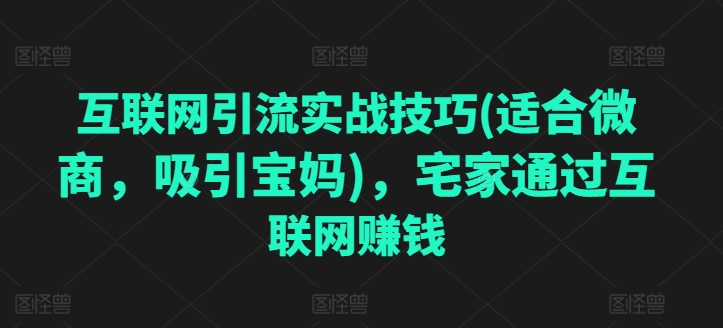 互联网引流实战技巧(适合微商,吸引宝妈),宅家通过互联网赚钱-互联网资源大全网