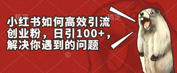 小红书如何高效引流创业粉,日引100+,解决你遇到的问题【揭秘】-互联网资源大全网