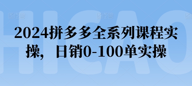 2024拼多多全系列课程实操，日销0-100单实操【必看】-互联网资源大全网