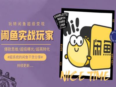 手把手教你0到1系统玩转闲鱼变现,爆款思维/超级曝光/超高转化-互联网资源大全网