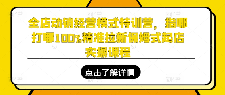 全店动销经营模式特训营,指哪打哪100%精准拉新保姆式起店实操课程-互联网资源大全网