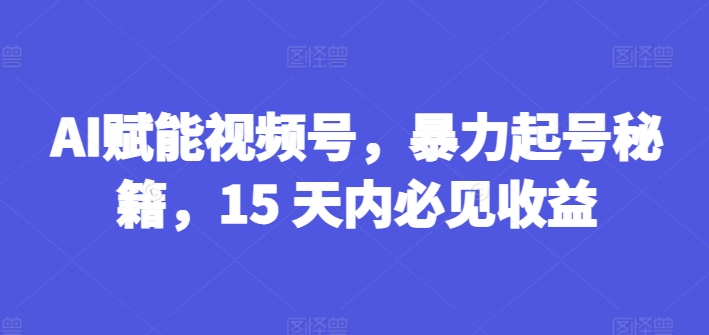 AI赋能视频号，暴力起号秘籍，15 天内必见收益【揭秘】-互联网资源大全网