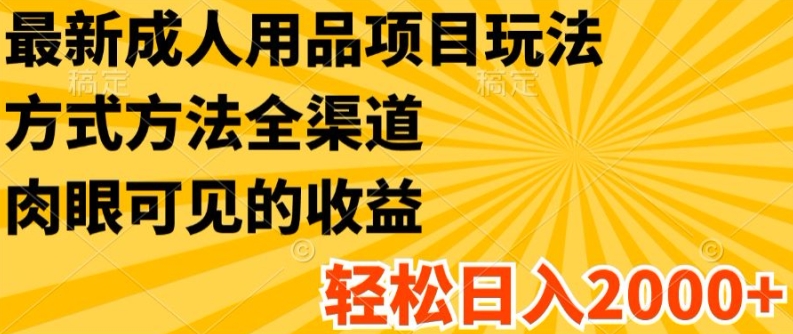 最新成人用品项目玩法,方式方法全渠道,轻松日入2K+【揭秘】-互联网资源大全网