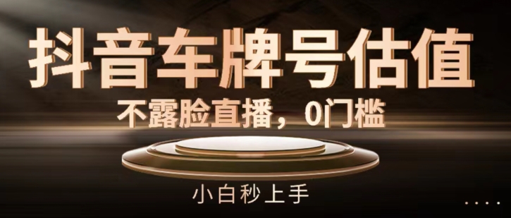 抖音车牌号估值,不露脸直播,0门槛,小白秒上手【揭秘】-第一资源库