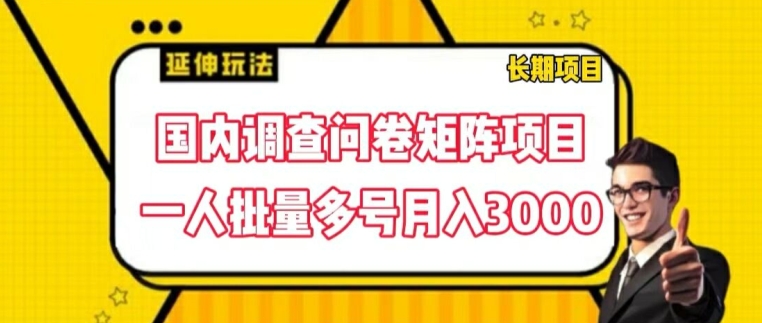 国内调查问卷矩阵项目，一人批量多号月入3000【揭秘】-互联网资源大全网
