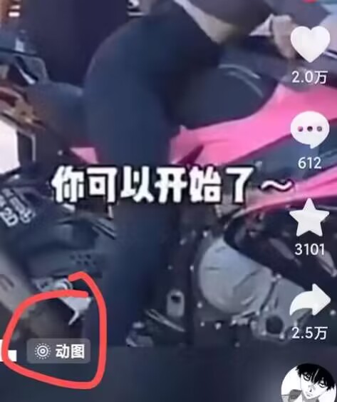 2024年7月苹果手机动图搬运技术-互联网资源大全网