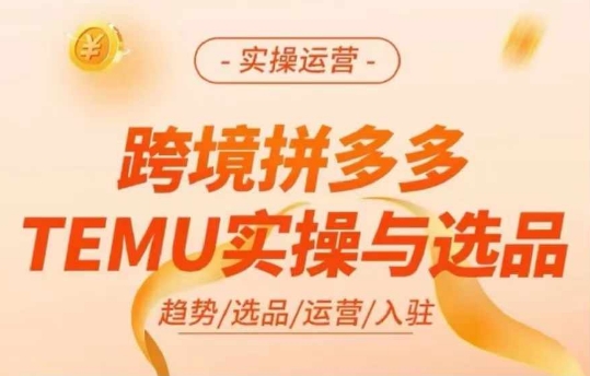 跨境拼多多TEMU实操与选品,多多temu跨境选品运营实操-互联网资源大全网