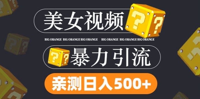 搬运tk美女视频全网分发,日引s粉300+,轻松变现,不限流量不封号【揭秘】-互联网资源大全网