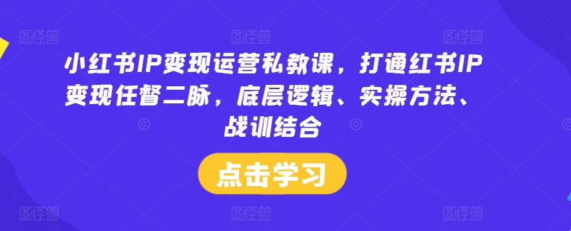 小红书IP变现运营私教课,打通红书IP变现任督二脉,底层逻辑、实操方法、战训结合-互联网资源大全网