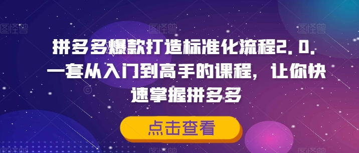 拼多多爆款打造标准化流程2.0,一套从入门到高手的课程,让你快速掌握拼多多-互联网资源大全网