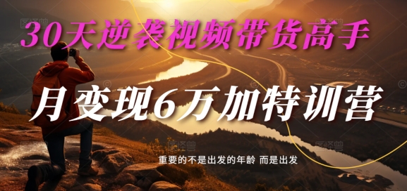 30天逆袭视频带货高手,单月变现6万加特训营-麦子甜-互联网资源大全网