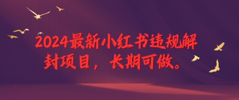 2024最新小红书违规解封项目,长期可做,一个可以做到退休的项目【揭秘】-第一资源库