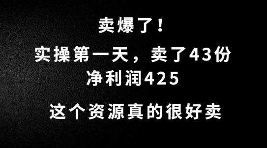 这个资源,需求很大,实操第一天卖了43份,净利润425【揭秘】-互联网资源大全网