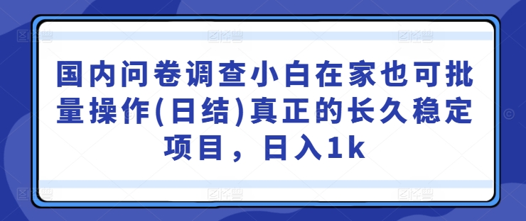 国内问卷调查小白在家也可批量操作(日结)真正的长久稳定项目，日入1k【揭秘】-互联网资源大全网