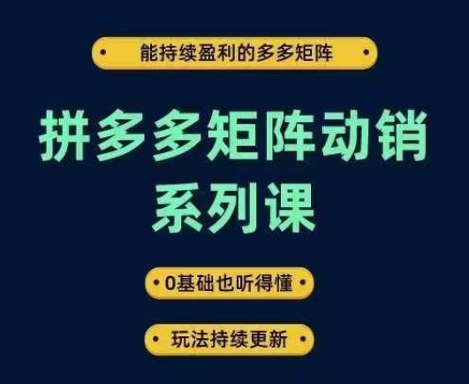 拼多多矩阵动销系列课，能持续盈利的多多矩阵，0基础也听得懂，玩法持续更新-互联网资源大全网
