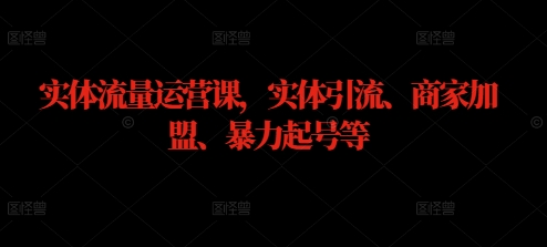 实体流量运营课，实体引流、商家加盟、暴力起号等-互联网资源大全网