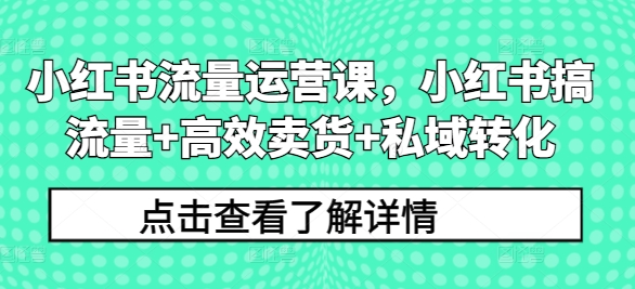 小红书流量运营课,小红书搞流量+高效卖货+私域转化-互联网资源大全网