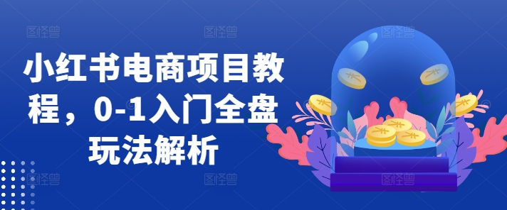 小红书电商项目教程，0-1入门全盘玩法解析-第一资源库