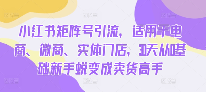 小红书矩阵号引流,适用于电商、微商、实体门店,30天从0基础新手蜕变成卖货高手-第一资源库