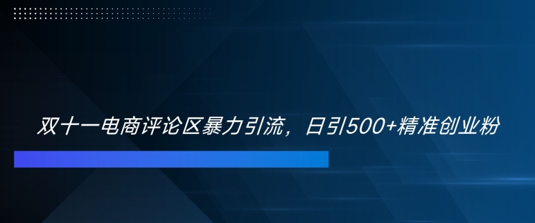 双十一电商评论区暴力引流,日引500+精准创业粉【揭秘】-第一资源库