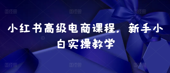 小红书高级电商课程,新手小白实操教学-第一资源库
