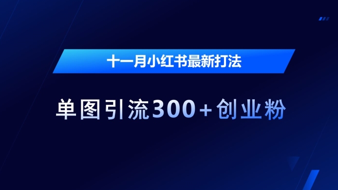 十一月小红书最新打法,单图引流300+创业粉【揭秘】-互联网资源大全网