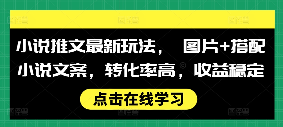 小说推文最新玩法, 图片+搭配小说文案,转化率高,收益稳定-第一资源库