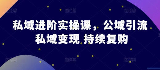 私域进阶实操课,公域引流 私域变现 持续复购-互联网资源大全网