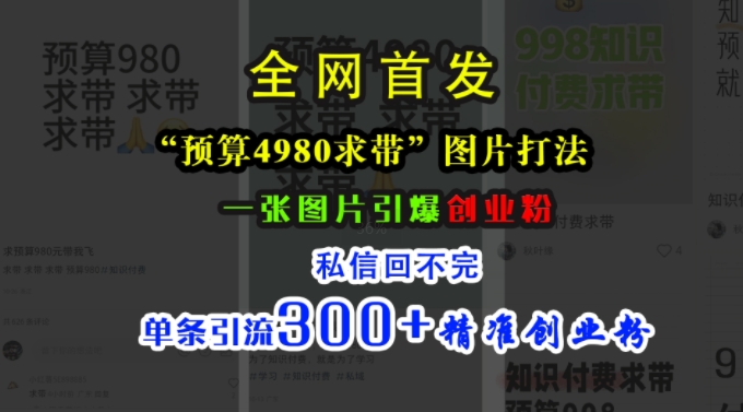 小红书“预算4980带我飞”图片打法,一张图片引爆创业粉,私信回不完,单条引流300+精准创业粉-互联网资源大全网