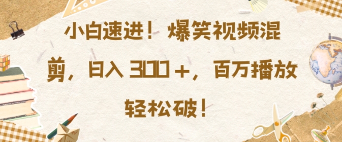 小白速进，爆笑视频混剪，日入3张，百万播放轻松破【揭秘】-互联网资源大全网
