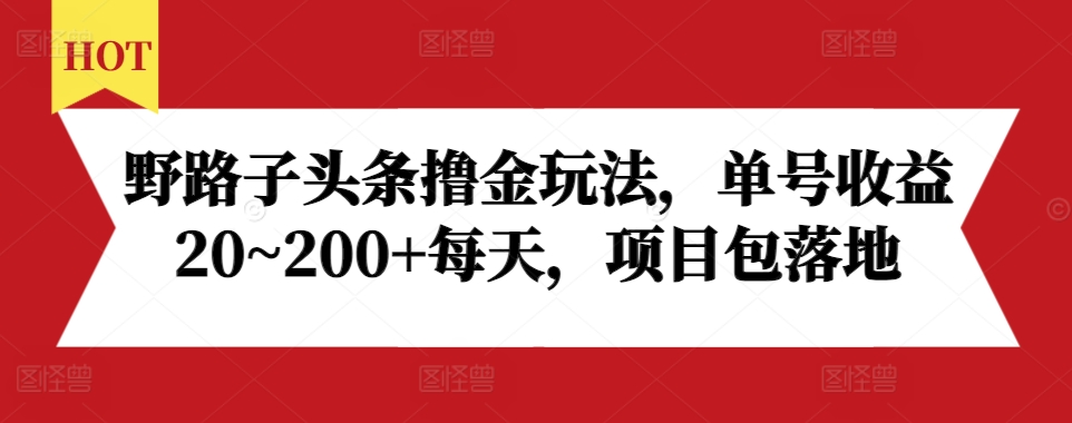 野路子头条撸金玩法，单号收益20~200+每天，项目包落地-互联网资源大全网