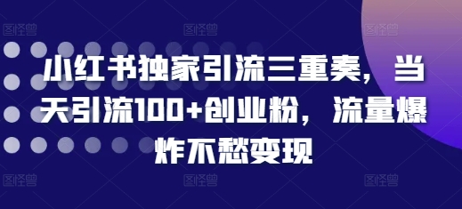 小红书独家引流三重奏，当天引流100+创业粉，流量爆炸不愁变现【揭秘】-互联网资源大全网