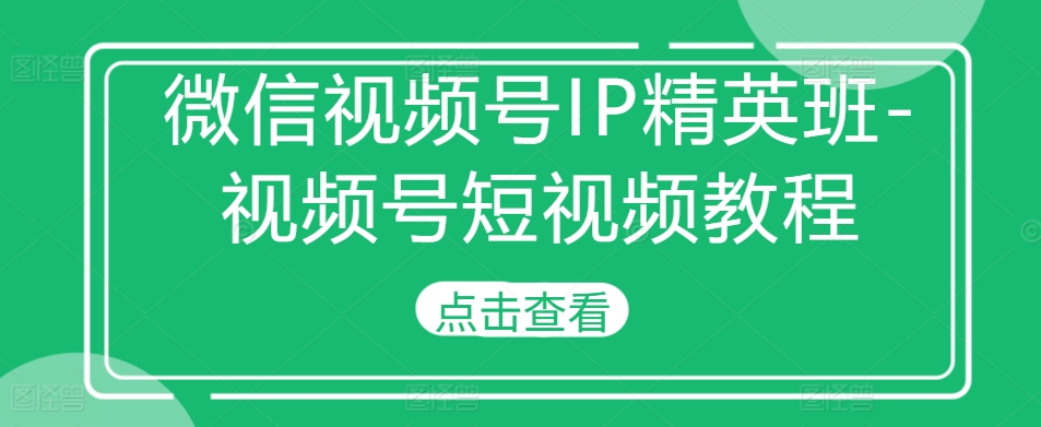 微信视频号IP精英班-视频号短视频教程-互联网资源大全网