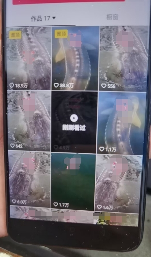 外面卖399的国学佛像原创暴力起号技术，快速起号，7天可达到一个万粉号-互联网资源大全网
