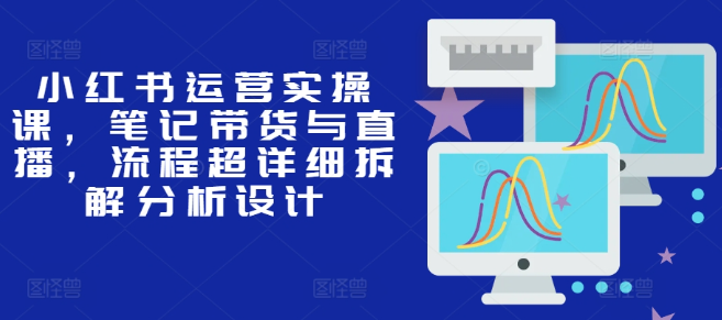小红书运营实操课，笔记带货与直播，流程超详细拆解分析设计-互联网资源大全网