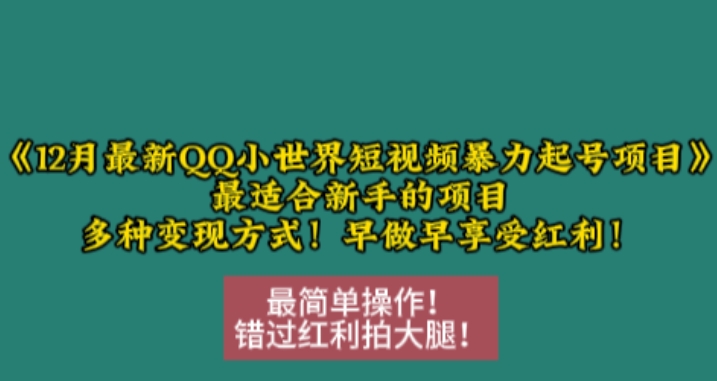 12月最新QQ小世界短视频暴力起号项目,最适合新手的项目,多种变现方式-互联网资源大全网