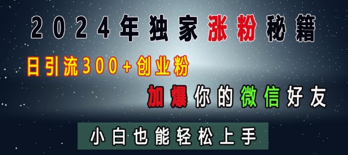 2024年独家涨粉秘籍,日引流300+创业粉,加爆你的微信好友,小白也能轻松上手-互联网资源大全网