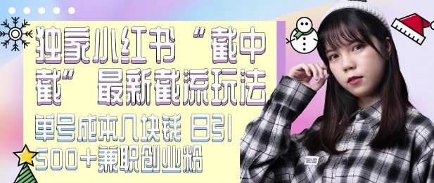 最新小红书截流玩法 独家截中截 单号成本几块钱 日引500+CY粉JZ粉-互联网资源大全网