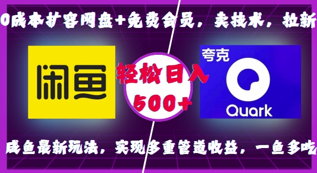0成本扩容网盘+免费会员,卖技术,拉新,咸鱼最新玩法,实现多重管道收益,一鱼多吃,轻松日入500+-互联网资源大全网
