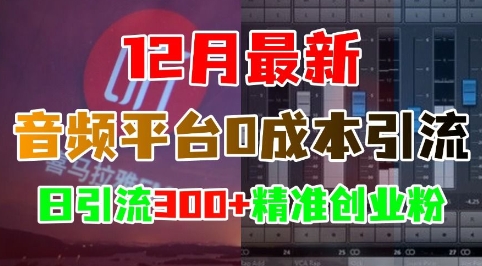 12月最新:音频平台0成本引流,日引流300+精准创业粉-互联网资源大全网