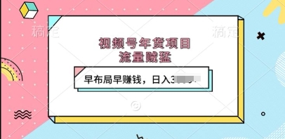 视频号年货项目,流量贼猛,早布局早挣钱,日入上k【揭秘】-互联网资源大全网
