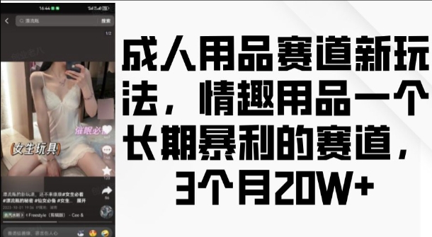 成人用品赛道新玩法，情趣用品一个长期暴利的赛道，3个月收益20个【揭秘】-互联网资源大全网