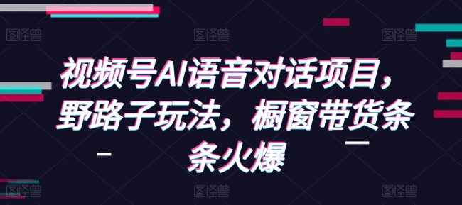 视频号AI语音对话项目，野路子玩法，橱窗带货条条火爆-互联网资源大全网