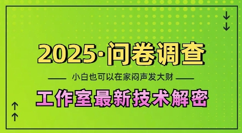 2025问卷调查最新工作室技术解密:一个人在家也可以闷声发大财,小白一天2张,可矩阵放大【揭秘】-互联网资源大全网