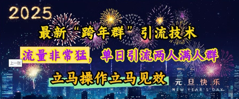 最新“跨年群”引流，流量非常猛，单日引流两人满人群，立马操作立马见效【揭秘】-互联网资源大全网