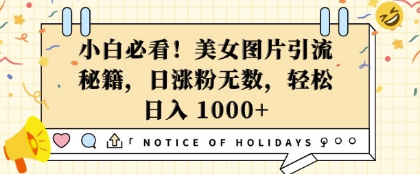 小白必看，美女图片引流秘籍，日涨粉无数，轻松日入几张【揭秘】-互联网资源大全网