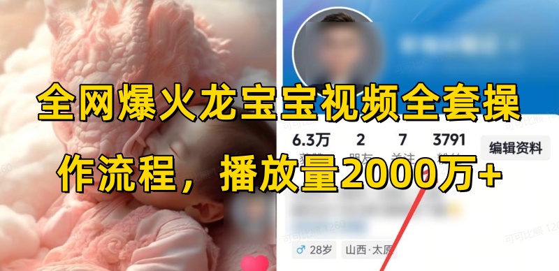 全网爆火龙宝宝视频全套操作流程,播放量2000万+-互联网资源大全网