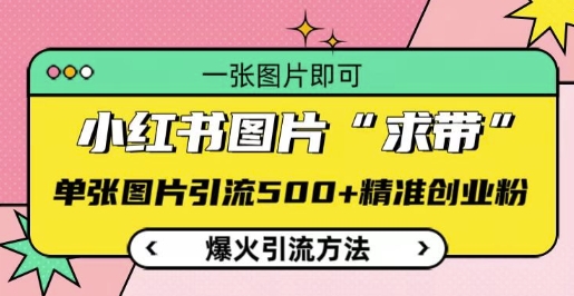 小红书图片‘求带’爆火引流法,单张图片引流500+精准创业粉【揭秘】-互联网资源大全网